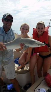 Shark Fishing in the Gulf of Mexico, FL